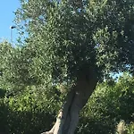 Nel Blu Dipinto Di Blu Polignano a Mare