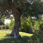 Nel Blu Dipinto Di Blu *