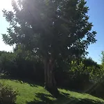 Nel Blu Dipinto Di Blu Vakantiehuis *