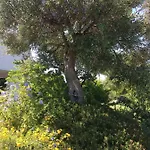 Vakantiehuis Nel Blu Dipinto Di Blu *