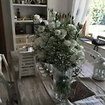 Nel Blu Dipinto Di Blu