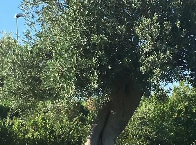 Nel Blu Dipinto Di Blu 폴리나노 아마레