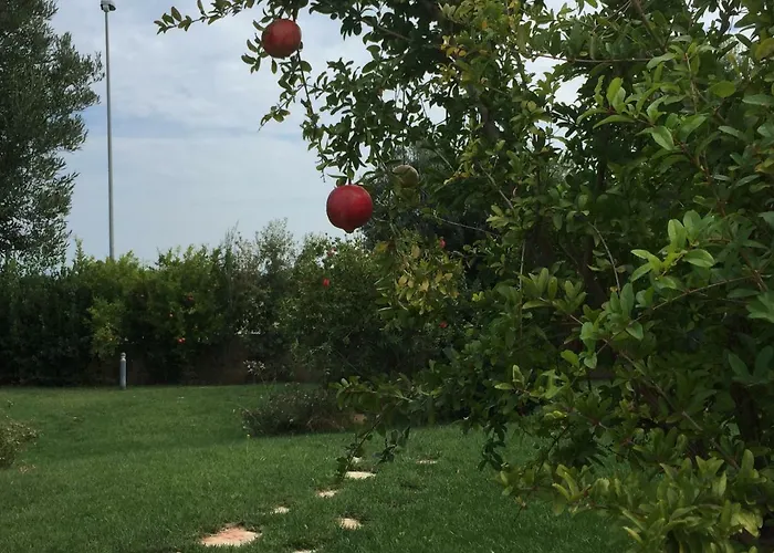 Nel Blu Dipinto Di Blu 펜션 폴리나노 아마레