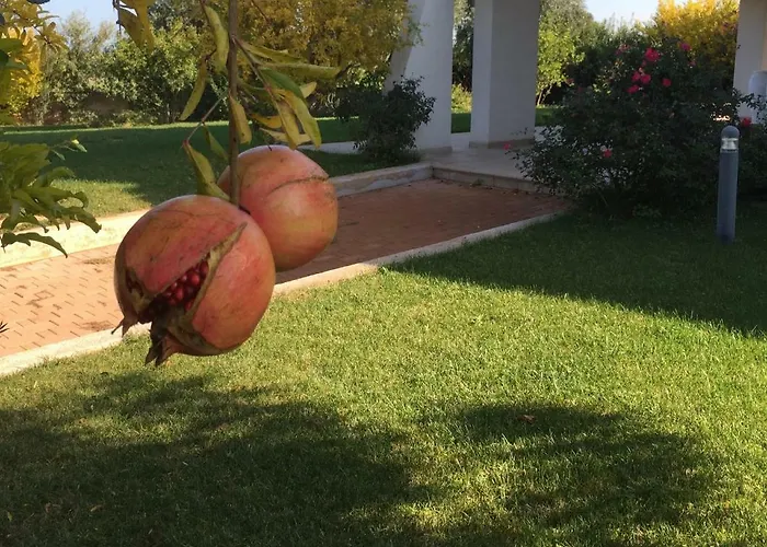 Nel Blu Dipinto Di Blu *