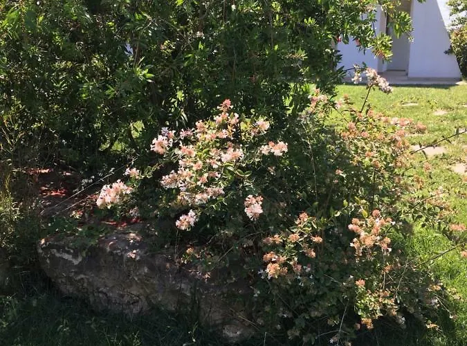 Nel Blu Dipinto Di Blu 폴리나노 아마레