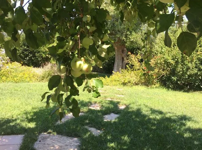 펜션 Nel Blu Dipinto Di Blu *