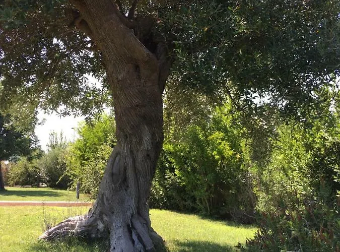 Nel Blu Dipinto Di Blu *