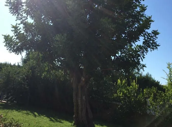 Nel Blu Dipinto Di Blu 펜션 *