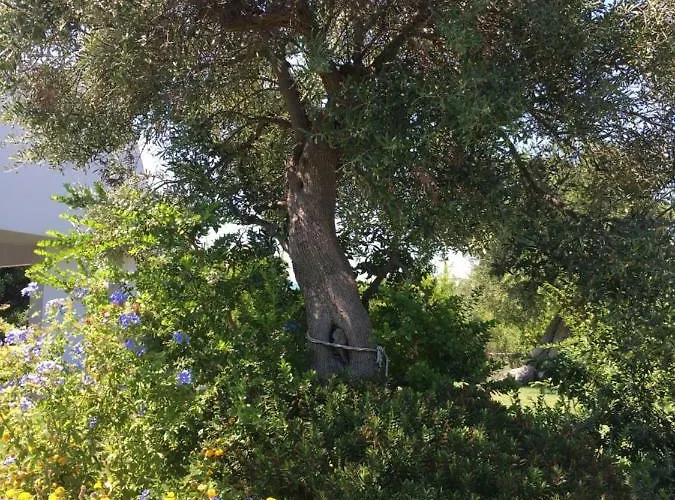 펜션 Nel Blu Dipinto Di Blu *