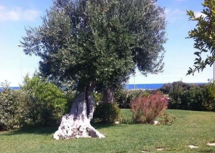 Nel Blu Dipinto Di Blu 폴리나노 아마레