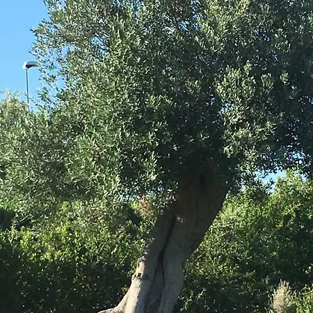 Nel Blu Dipinto Di Blu Polignano a Mare