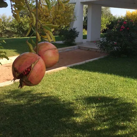 Nel Blu Dipinto Di Blu *