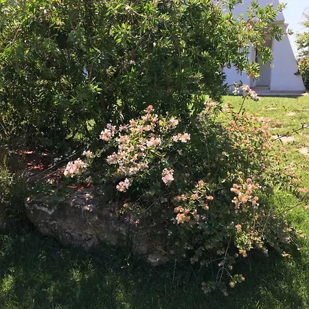 Nel Blu Dipinto Di Blu Polignano a Mare