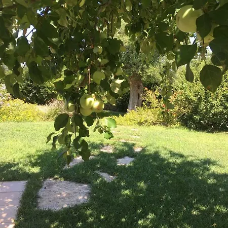 Σπίτι διακοπών Nel Blu Dipinto Di Blu *