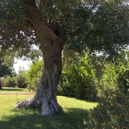 Nel Blu Dipinto Di Blu *