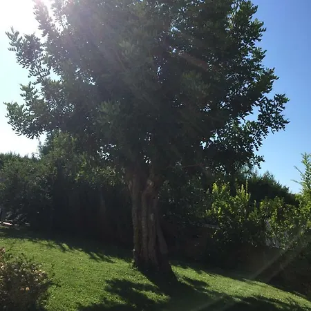 Nel Blu Dipinto Di Blu Σπίτι διακοπών *