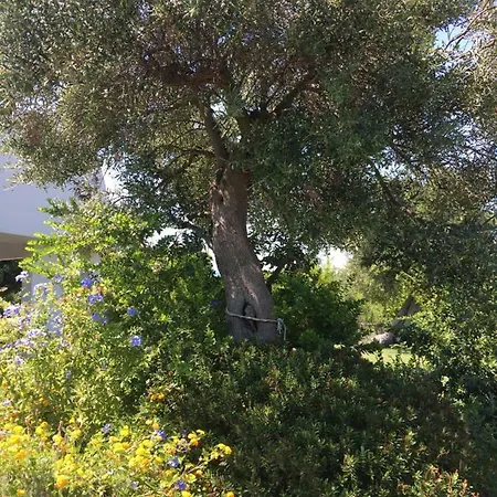 Holiday home Nel Blu Dipinto Di Blu *