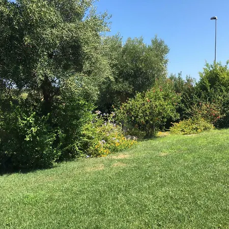 Nel Blu Dipinto Di Blu *