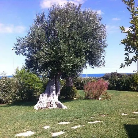 Nel Blu Dipinto Di Blu Polignano a Mare